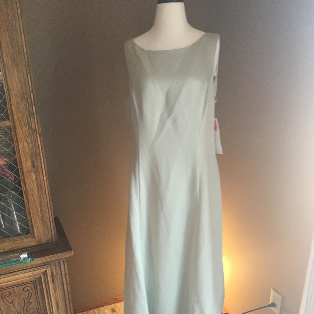 Pale Green Floor Length Alex Evenings Gown